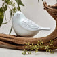 Songbird Keepsake Urn