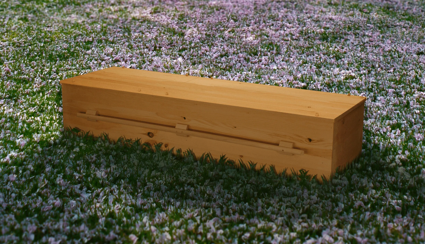 eco friendly pine casket