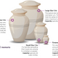 Memoria What Size Urn Do You Need